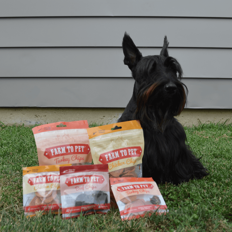 Pet Food & Treats