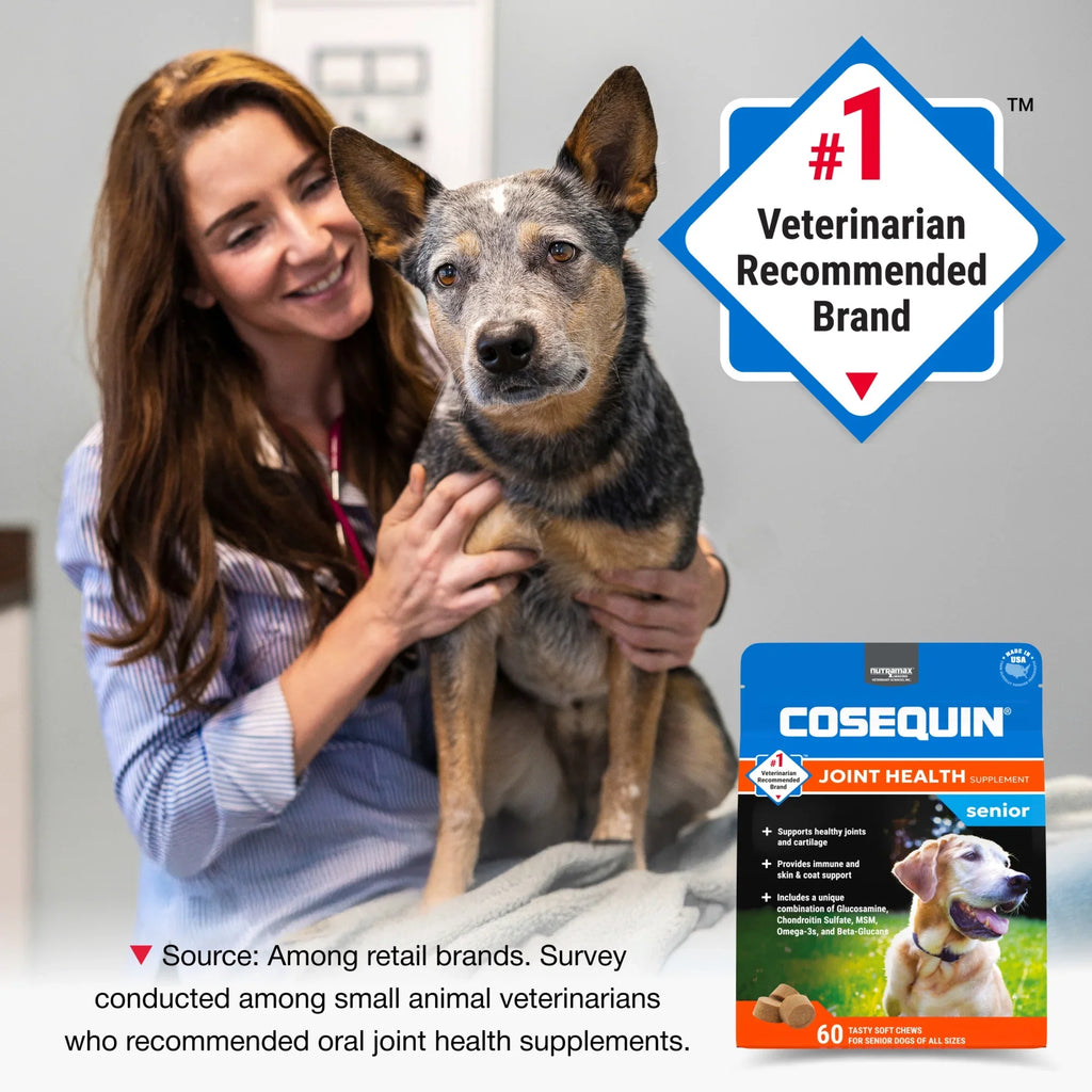 Cosequin Senior Joint Health Soft Chews for Dogs 60ct Max Strength