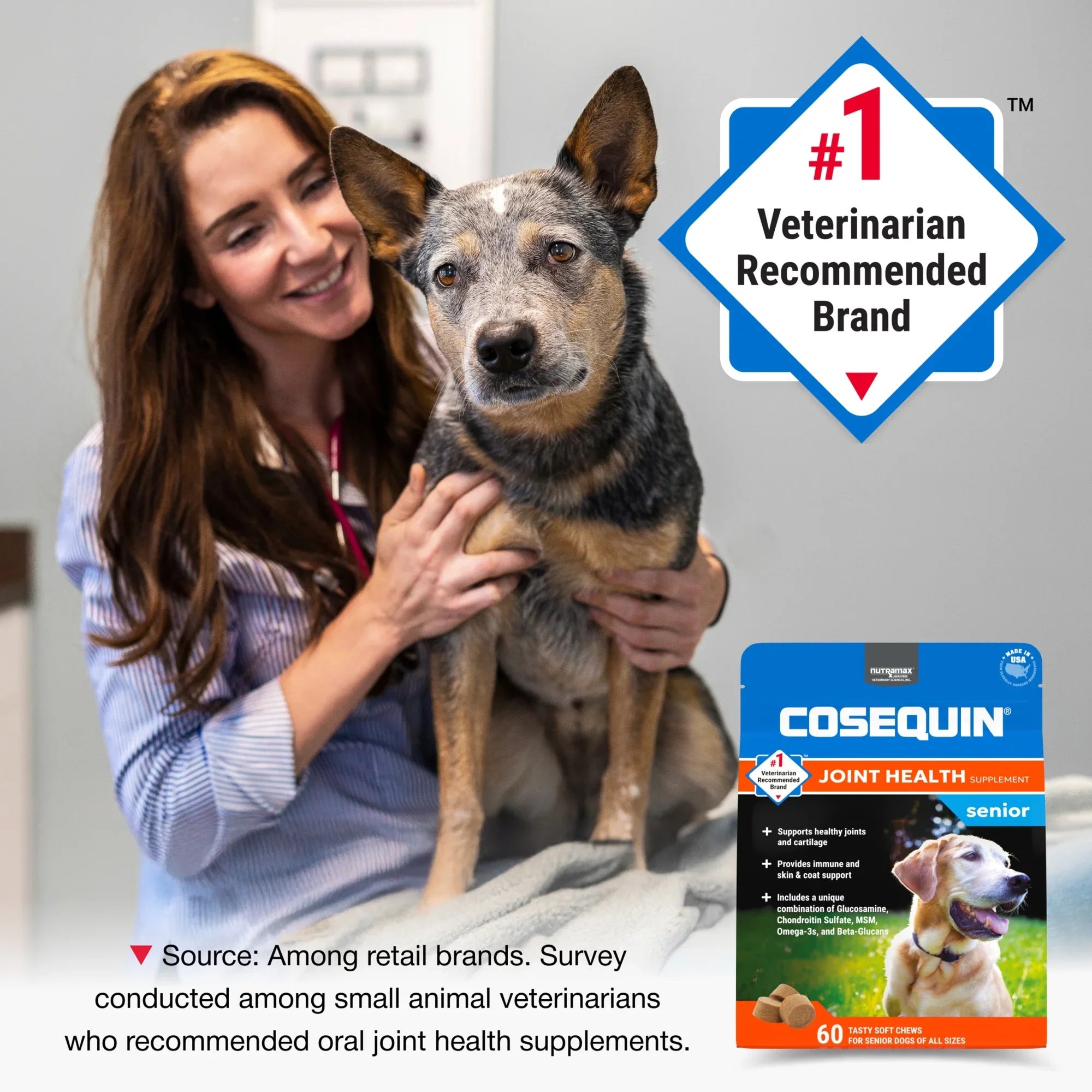 Cosequin Senior Joint Health Soft Chews for Dogs 60ct Max Strength