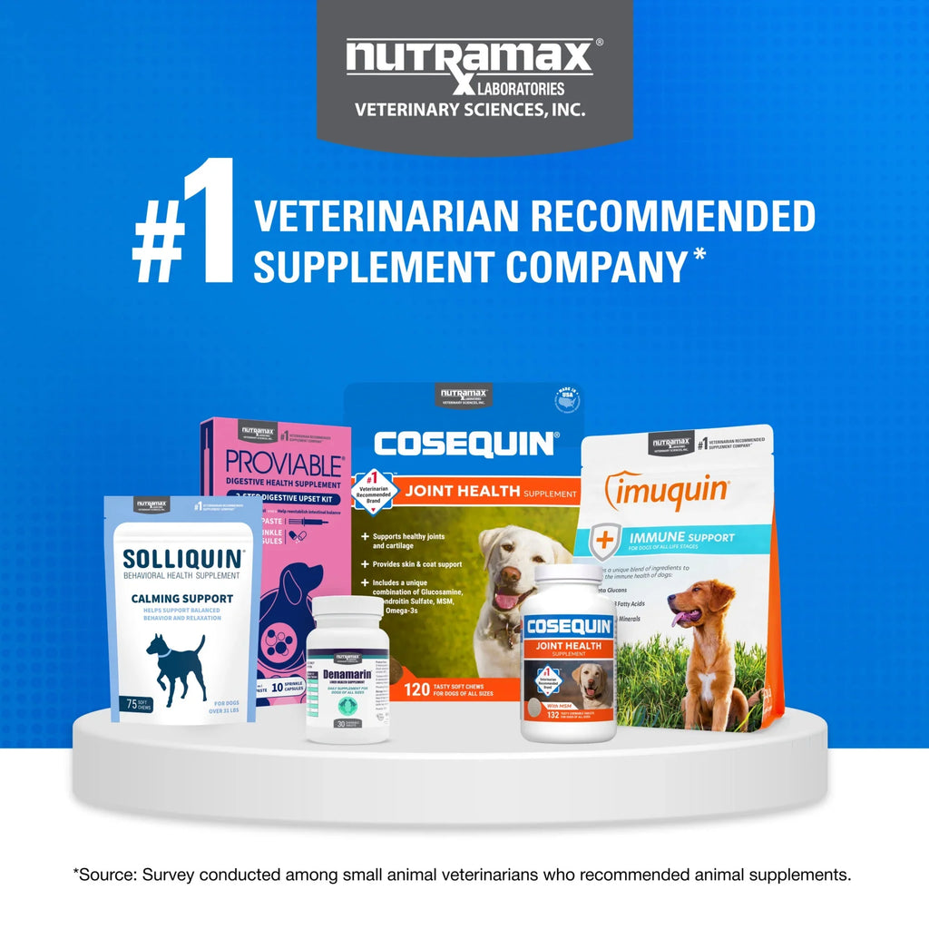 Cosequin Senior Joint Health Soft Chews for Dogs 60ct Max Strength