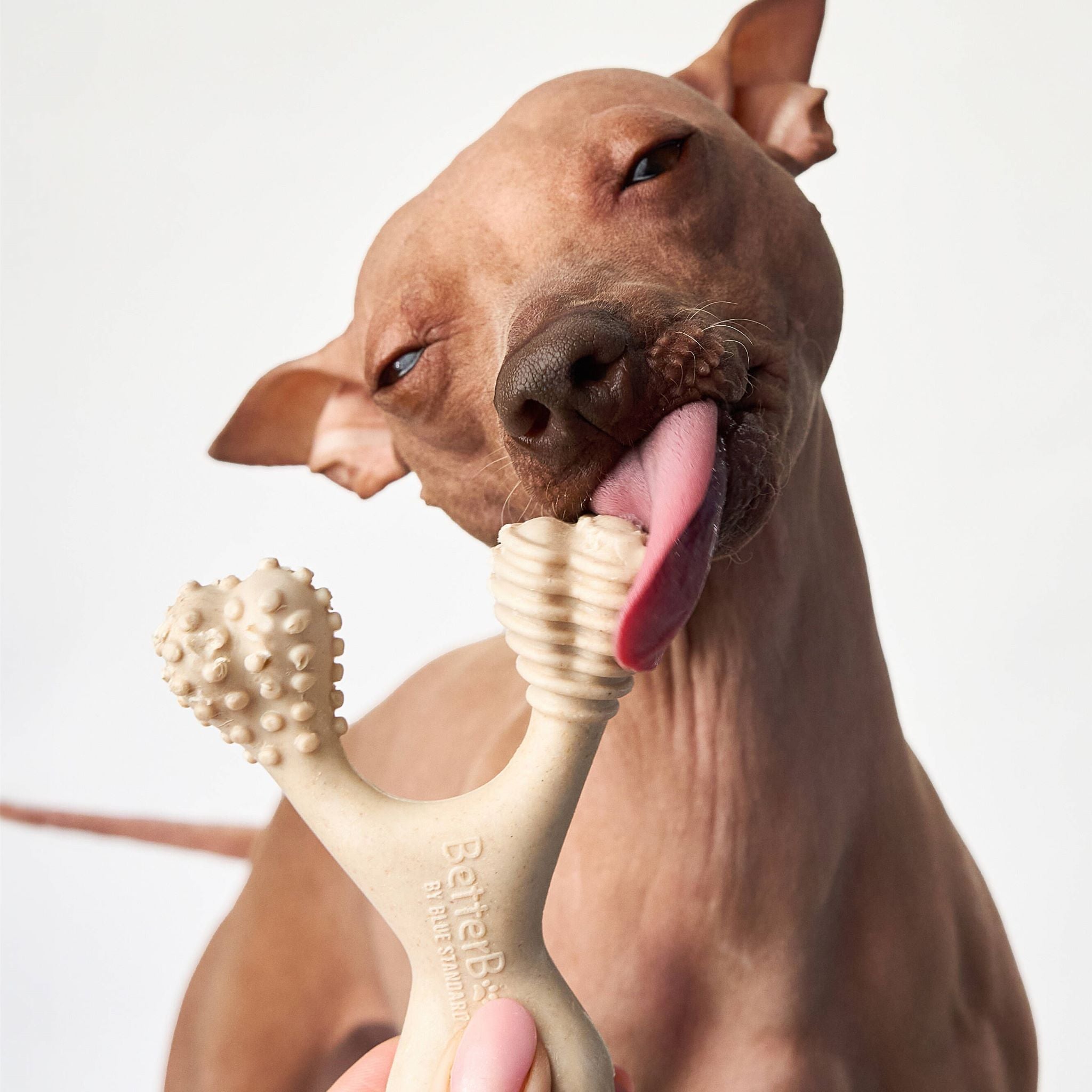 BetterBone LIGHT Chew Toy