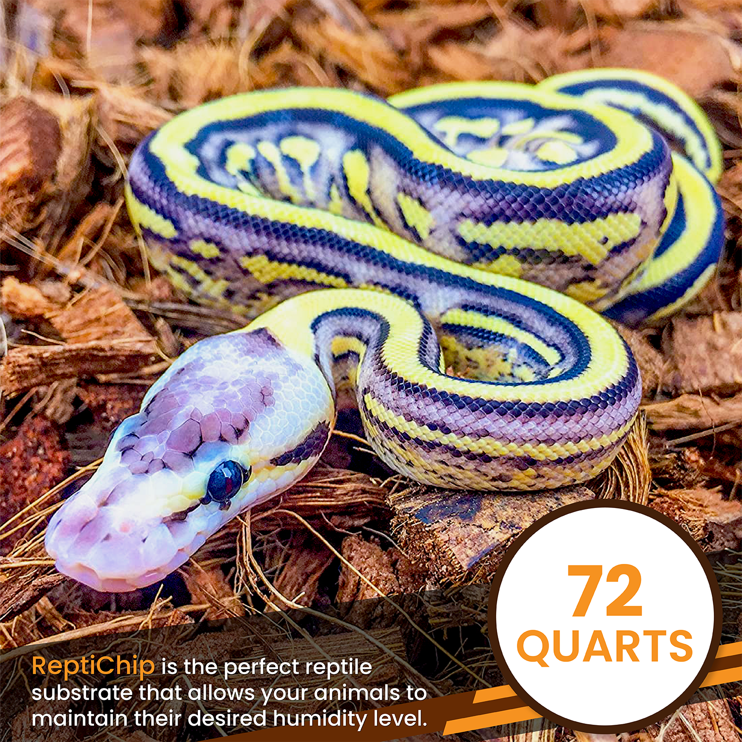 ReptiChip Breeder Blocks and Bundles