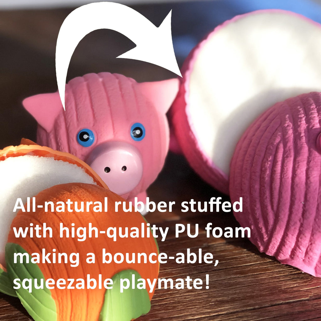 Huggle-Fusion® Dude Turtle Plush & Latex Dog Toy