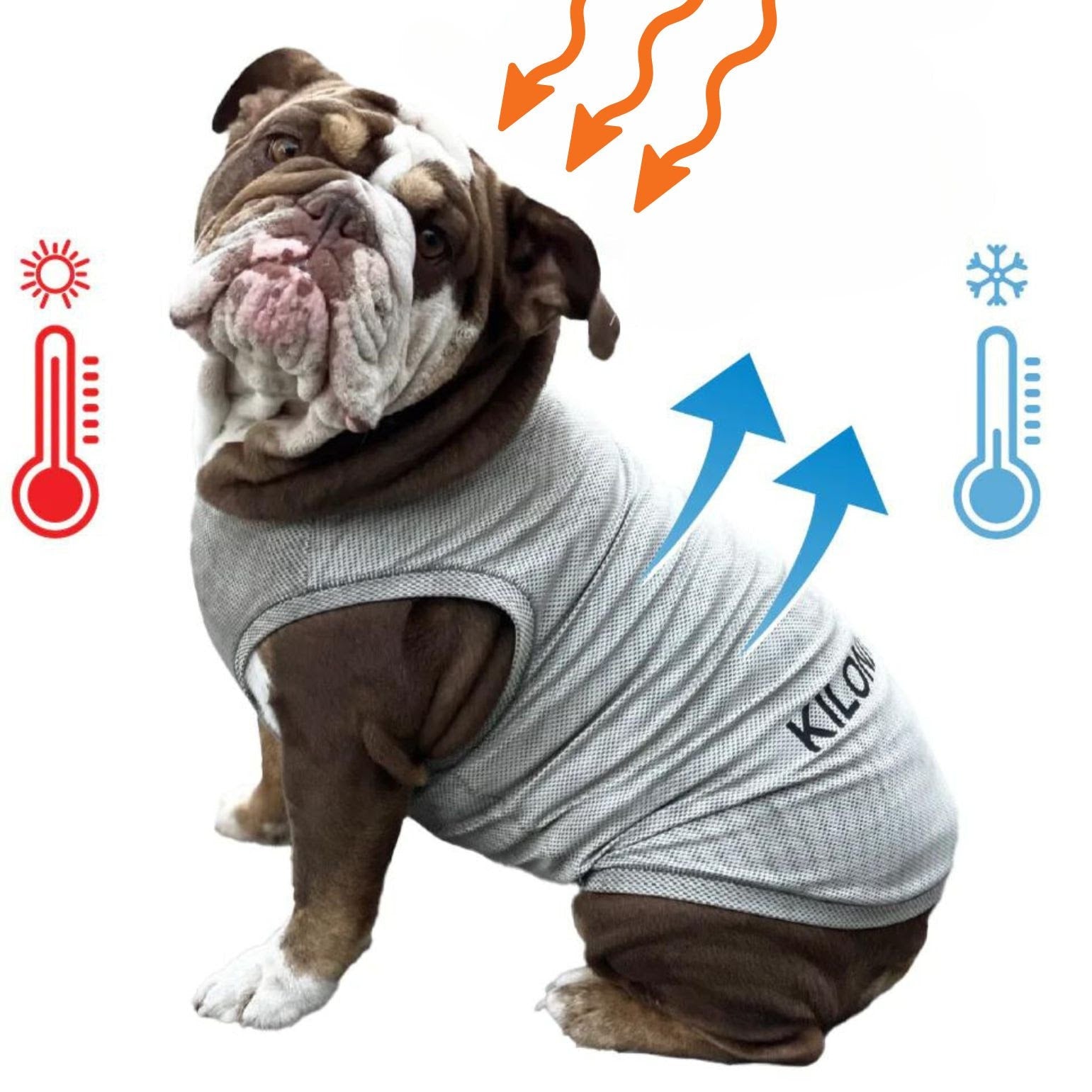 ACTIVE COOLING SHIRT